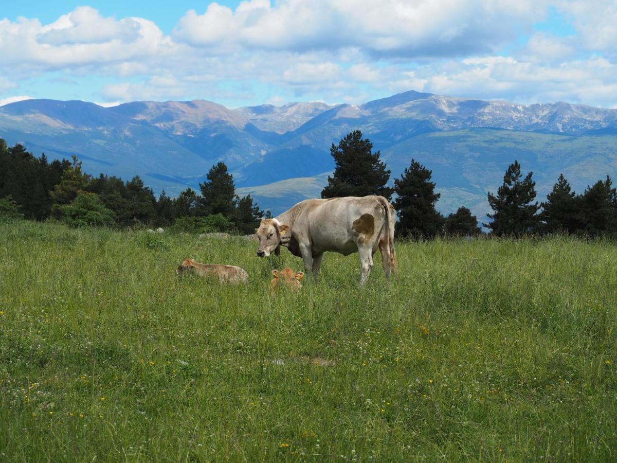 Apartament A La Molina, Grans Vistes, Llar De Foc La Molina  Exteriör bild